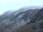 A Dreary Day on Grandfather Mountain